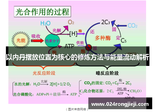 以内丹摆放位置为核心的修炼方法与能量流动解析