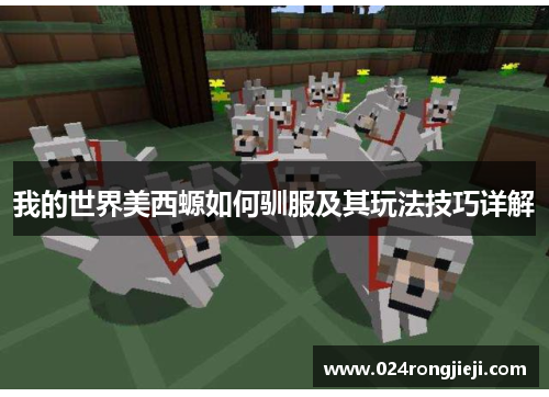 我的世界美西螈如何驯服及其玩法技巧详解